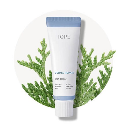 Kem Dưỡng Ẩm Da Mụn Iope Derma Repair Cica Cream (2)